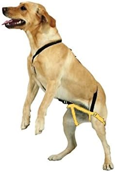 jump dog harness instructions