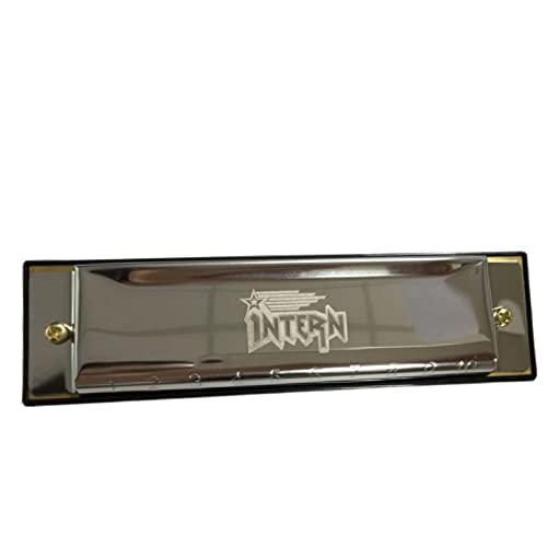 Image of Intern KEY C 10 Hole Diatonic Blues Mouth Organ Harmonica for Professional Player, with case and cleaning cloth (Silver) (INT-HA01C)