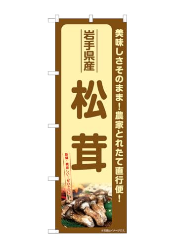 ̂ڂ艮H[(Noboriyakobo) SNB-7350  쌧Y W600×H1800mm 1  OO |W  ɐ 󒍐Yi