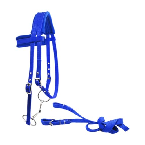 Milageto Brida de Caballo con Cabestro, cómodo Collar para la Cabeza, Equipo Ecuestre, Cuerda Principal versátil y Ajustable, Blue S