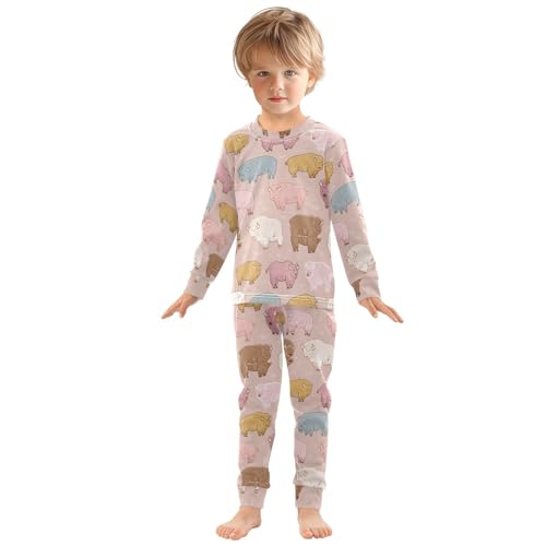 Pajama Sets Long Sleeve Colorful Cute Bison Pattern Soft Comfy Sleepwear 2 Piece PJS 3-8T2