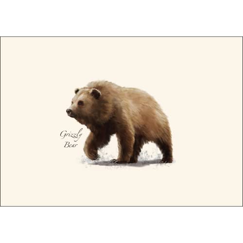 Image of Earth Sky + Water - Western Mammal II Assortment Notecard Set - 8 Blank Cards with Envelopes (2 each of 4 styles)