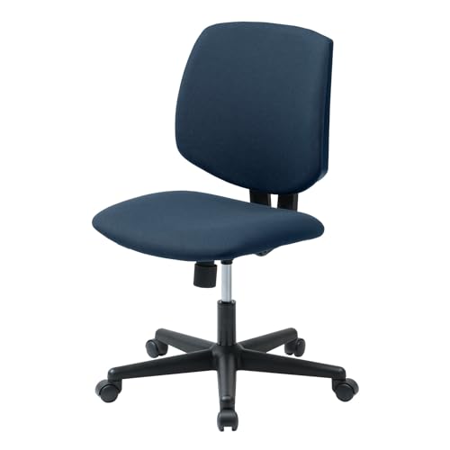 TTvC ω׏dItBX`FAiu[j SNC-T163BL