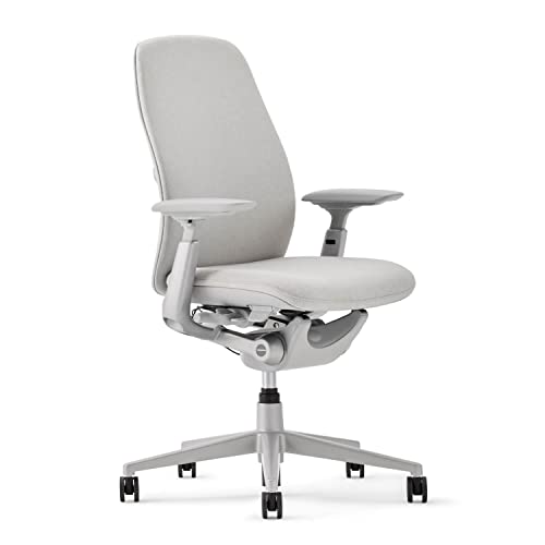 Haworth Zody Dual Posture Desk Chair - Stylish and Ergonomic for Office (Fog)