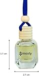 Car Air Freshener Set of 3 – Hanging Car Air Fresheners with Vanilla, Oud & Aquatic Scents | Glass Bottle Car Diffuser with Wooden Lid | Long Lasting Car Fragrance | Car Accessories for Men & Women