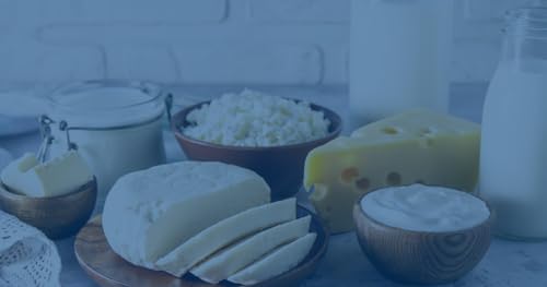 『Insights from National Dairy Council on the Role of Dairy Foods in Bone Health』のカバーアート