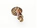 Schaub Tiger Penshell Collection 2-3/4 in. (70mm) Pendant Pull, Estate Dover - 989-PEN/ED