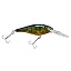 Flashy Perch