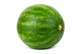 50 Sugar Baby Watermelon Seeds for Planting - Heirloom Non-GMO USA Grown Premium Fruit Seeds for Pla