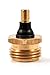 Camco RV Brass Blow Out Plug | Helps Clear Your RV's Water Lines During Winterization and Dewinterization (36153)