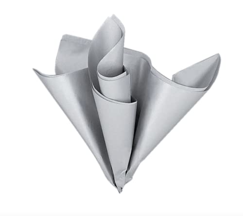 Silver Deluxe Metallic Tissue Sheets - Sparkling Decorative Paper For Gift Wrapping & DIY Crafts, 5 Count (Pack of 1)
