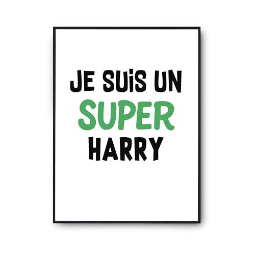 Poster Harry 2 Otshirt Cadeau Anniversaire Humour Affiche A3 à Offrir pour la Déco