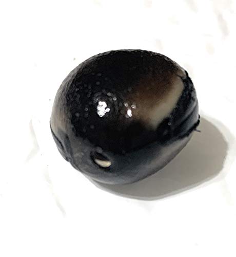 Ojo de venado, Deer's Eye. (DRILLED, PERFORADO)