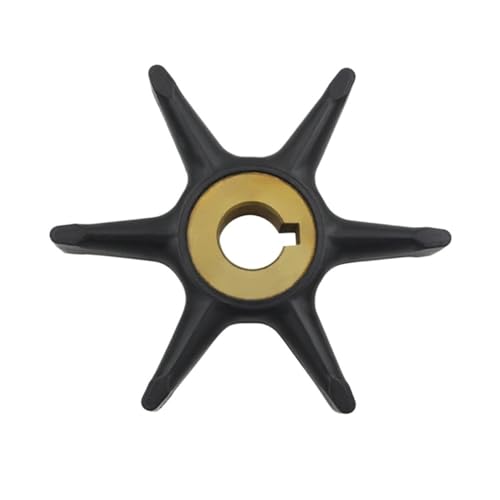 Turbine de pompe à eau hors-bord pour réparer la surchauffe moteur 4 CV