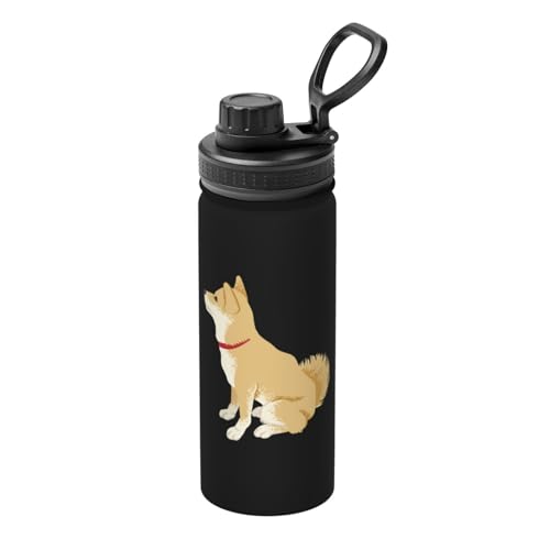  낢 Č  Aj XeX{g @r 500ml  ۗۉ ^fM X|[c{g e nht ^ Rh~  oR AEghA ʋ ʊw