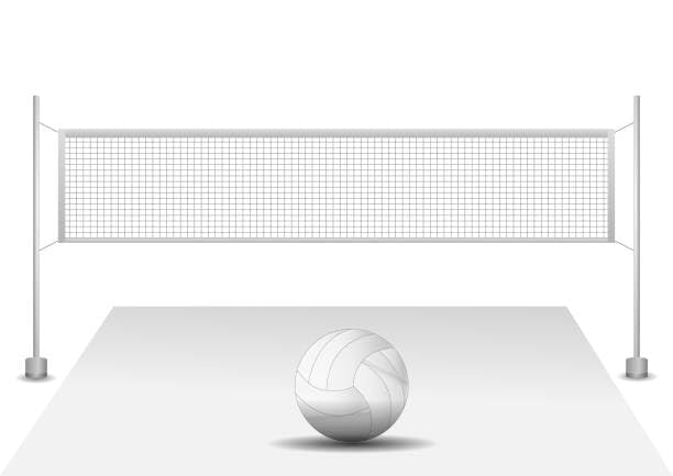 Image of Vixen Volleyball Net vx500