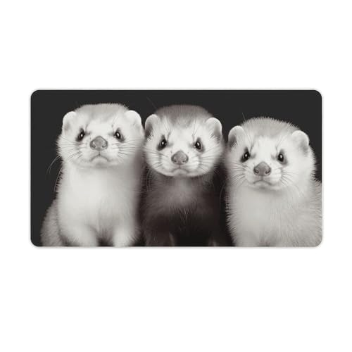 Grand tapis de souris de jeu furets pour bureau et maison - XXL
