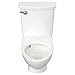 American Standard 2882107.020 Glenwall VorMax Wall-Hung Elongated Toilet with Left Hand Trip Lever, 1.28 Gpf, White