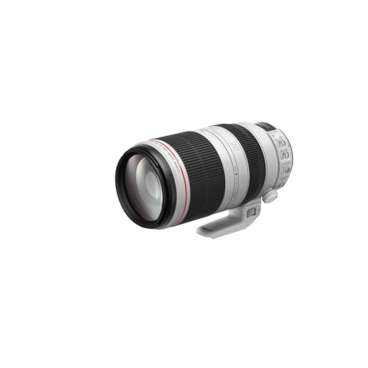 Canon EF 100-400mm f/4.5-5.6L IS II Lens