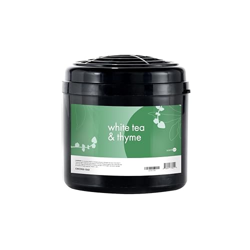 Monthly-Fragrance-Cartridge-for-Whisper-Home-White-Tea-Thyme