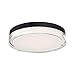 WAC Lighting FM-W57812-35-BK DweLED Dot 12in LED Round Flush Mount 3500K in Black Light Fixture, 12 Inches