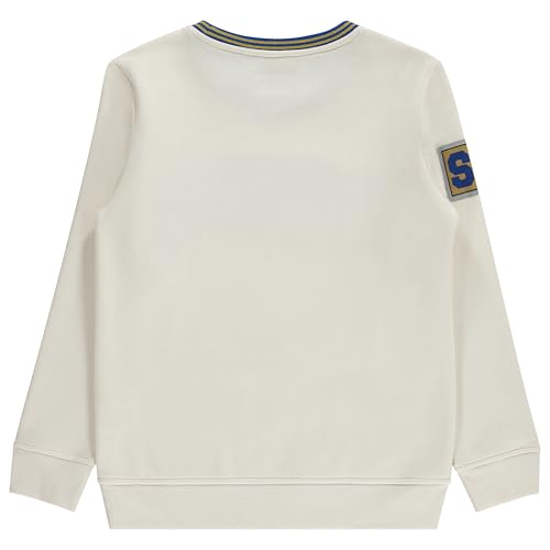 Nickelodeon SpongeBob SquarePants Boys Crewneck Sweatshirt - Spongebob, Patrick, Mr Krabs Plankton Chenille Patch Sweatshirt2