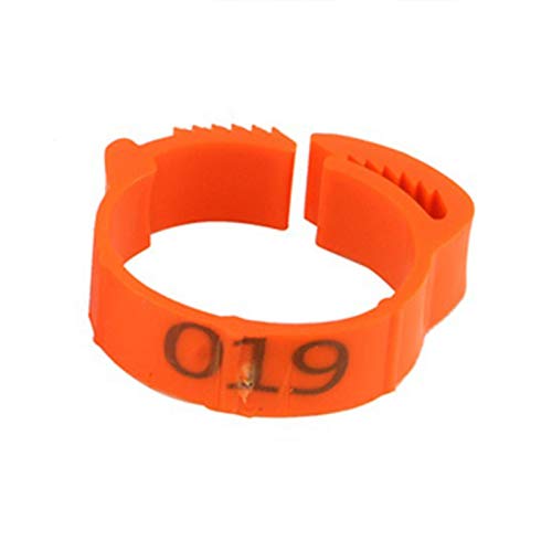 100PCS coscia di pollo anello piede di pollame