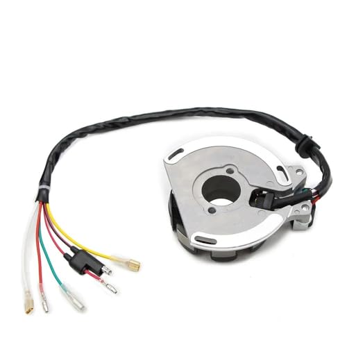 Stator de magnéto haute résistance pour moteurs MXC EXC SXS 200 300 380