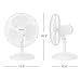 Holmes 12 Inch Oscillating Table Fan 3 Speeds 75 Degree Wide Angle Oscillation 15 Degree Adjustable Head Tilt Quiet Cooling for Home Office Bedroom Manual Control White