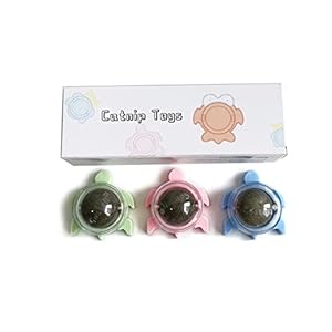 Pet Catnips Toy Licker Kitten Toy for Cats Lick Chew Toy Teeth Wall Treat Toy Stomach Mint