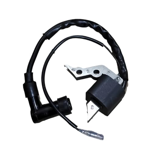 Bobine d'allumage GM82 154F et module d'allumage magnétique pour moteur KE24015AA