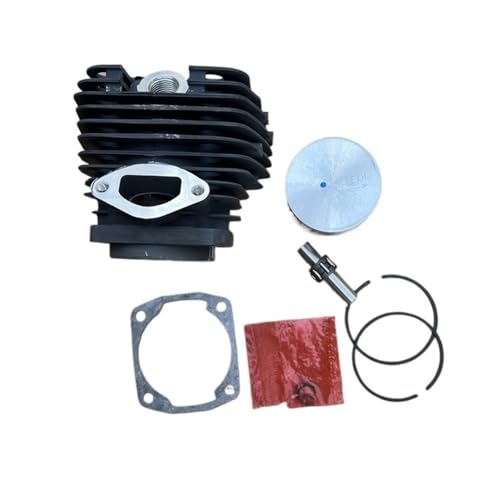 Roulement à aiguilles haute résistance avec piston 48 mm pour 6200 G6210