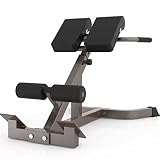 LZMZMQ Multipurpose Roman Chair Steel Frame, Gym/Basement/Garages Back Extension Bench & Workout Cha
