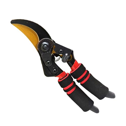 ΂,蓮|H | K[fNbp[ vgVU[Y c[ |  ~  A    jp