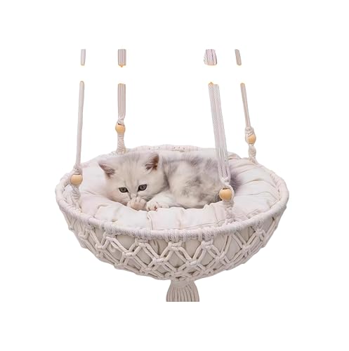 LnbNxbh ݂艺 Ǌ| 傫TCY ؐ  ҂ (a50,)