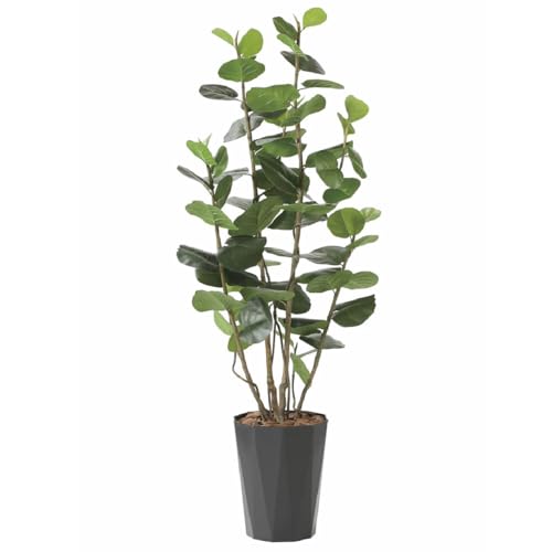 G} ̊y V[O[vDXyCeA tFCNO[ lHϗtAz (55×s45×170cm)