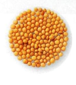 ra@yZNgXpCXz}X^[hiz[j (100i܁j)