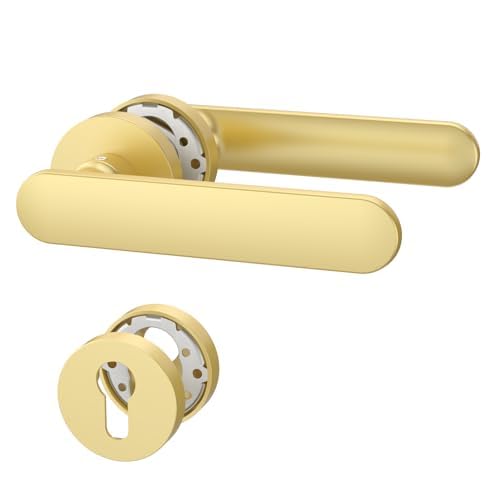 Amerdeco Manilla de Puerta Dorado de Aluminio – Conjunto PZ para Puerta Principal, Manilla Puerta de Entrada Blindada UK0054