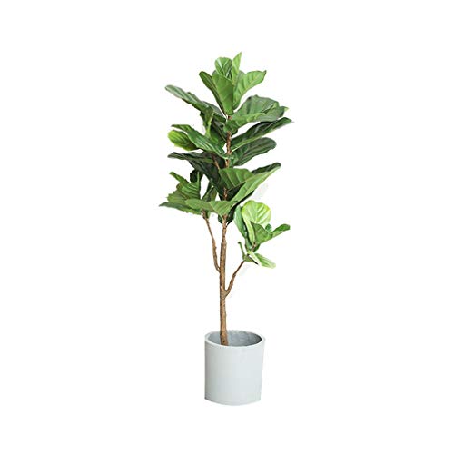 SimulationS Indoor Living Room Large Decorative Potted Green Plant Artificial Plants Home Decor, Fiddle Leaf Fig Tree 930 (Size : C)