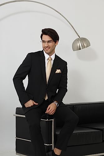 HISDERN Mens Ties Solid Color Wedding Ties and Pocket Square Neckties Clip Sets Business Formal Satin Ties for Men