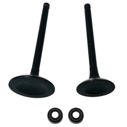 Kit de sello de válvula de escape para reparar fugas de aceite en HS 500