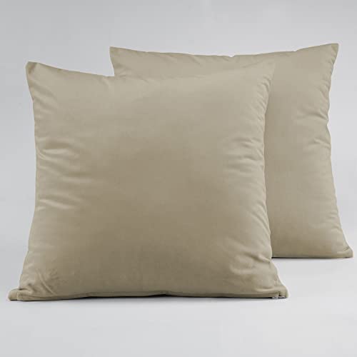 Image of HPD Half Price Drapes Cushion Cover 18 x 18 Heritage Plush Velvet - VPYC-161204-CC18PR - Pair, Light Beige