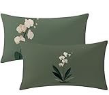 Kissenbezug 60x40CM Salbeigrün Kissenbezüge Einfachheit Zierkissen 2er Set Rechteckig Couchkissen Zierkissenbezüge Samt Sofa Dekokissen Kopfkissenbezug für Deko Wohnzimmer Gartenmöbel Kissen W1-239