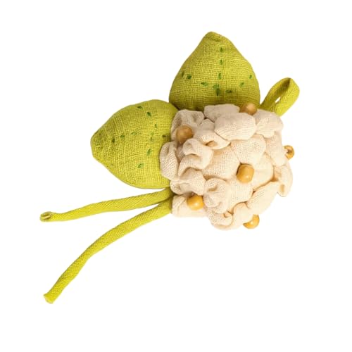 \ȐnAWTCu[`ԕ̈ߗނ̑̂߂̈SȋnBe[WAWTCns