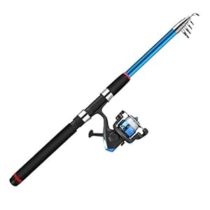 Vishengel Hengel Kit Carbon Fiber Hengel en Spoel Combo hengel pole telescopische Portable Anti-slip handvat for vissers Sea Hengelcombinaties (Size : 2.7m)