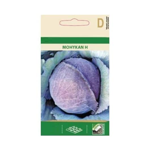 VibeX RED Cabbage Ball Hybrid Seeds-250 Seeds (B0BBGS8CTM) Amazon Price History, Amazon Price Tracker