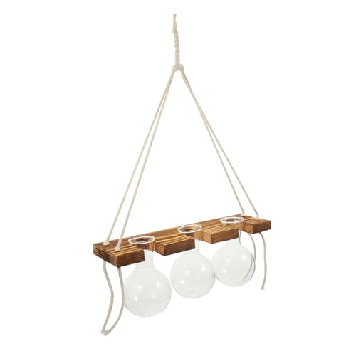 Sosoport Vaso Da Parete Per Vaso in Da Appendere Alla Parete Porta Piante Da Appendere Fioriera in Decorazione Per La Casa Squisito Portafiori Da Appendere Alla Parete