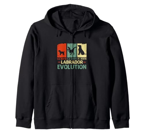 Labrador Propietario Labrador Retriever T-Rex Dinosaur Evolution Sudadera con Capucha