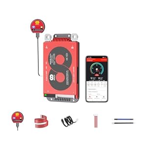 DALY BMS 16S 48V 100A Smart BMS avec Module WiFi Bluetooth LifePO4 Carte de Protection de Batterie au Lithium Prise en Charge Can RS485 pour Le Stockage d'énergie Domestique, voiturette de Golf