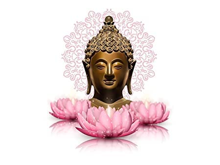 Rainy Akki Buddha Pink Lotus Flowers Wall Sticker for Living Room/Bedroom/Office Sticker Size - 49 Cm X 58 Cm (B0C1D1W26W) Amazon Price History, Amazon Price Tracker